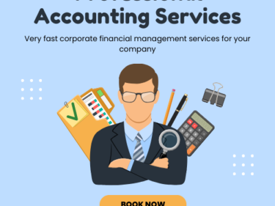 Charted Accountant Services in India